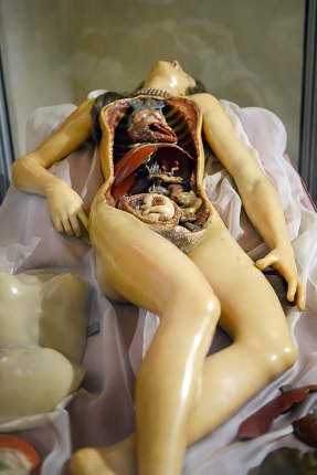 venerina museo di anatomia umana bologna 8-2022 4080
